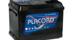 00304 BATERIA 12X065 PLACORD PF65  - 49AH L240