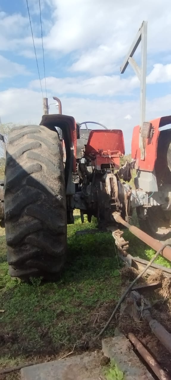 MASSEY FERGUSON 1175 - Imagen 2