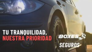 Seguros del Automotor